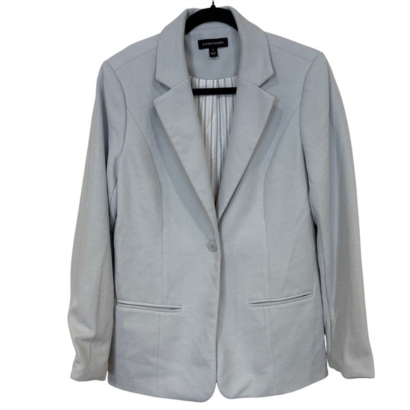 41 Hawthorn Jackets & Blazers - 41 Hawthorn Blazer Womens Size M Light Blue Single Button Pinstripe Lined Office